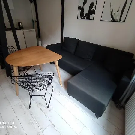 Studio Z Ogrodem - Kopernika 3 *